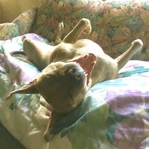 Meet your Posher, Tina